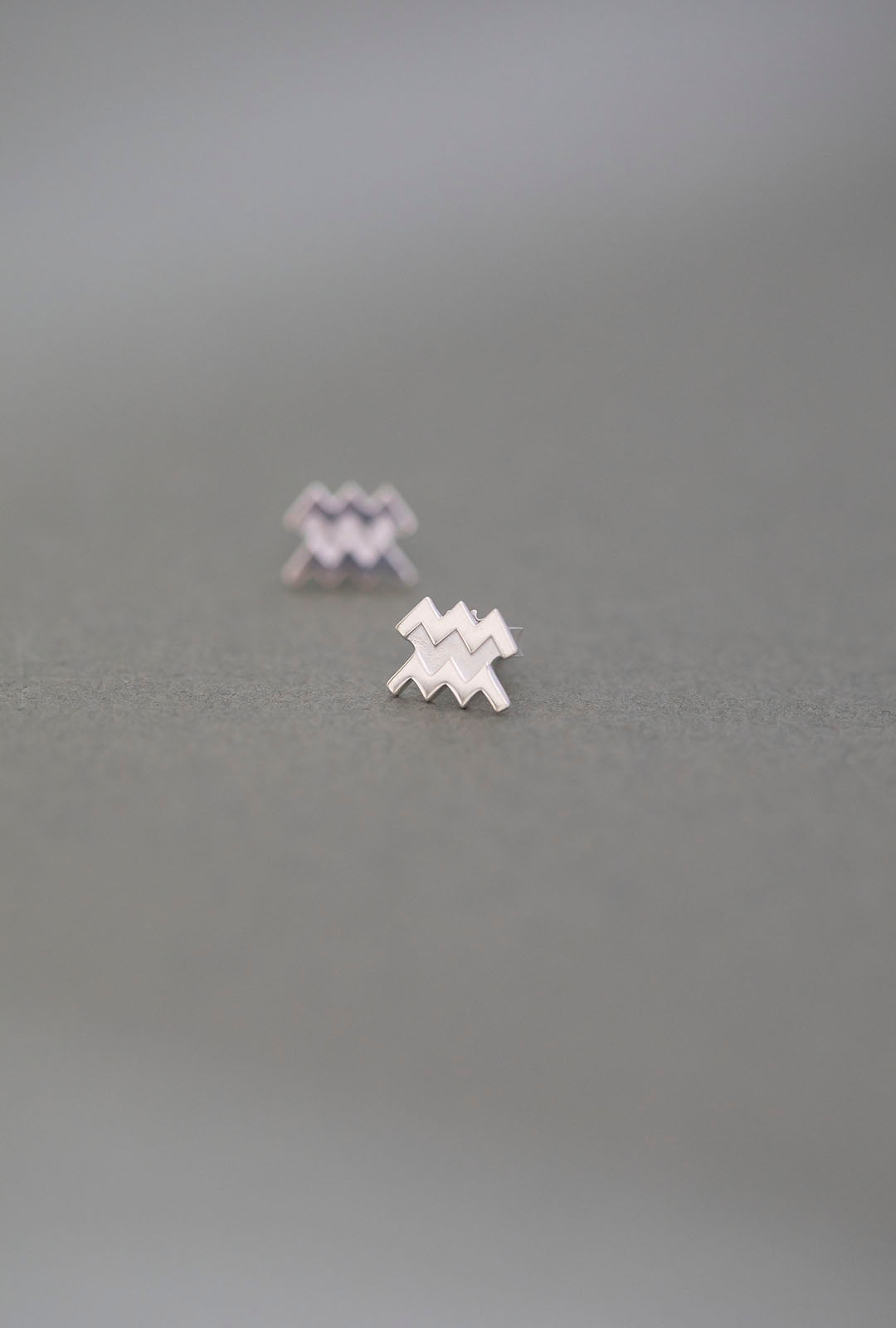 HOROSKOP ÖRHÄNGEN VATTUMAN SILVER