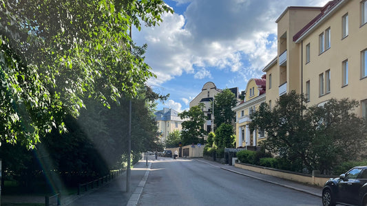 A SUMMER DAY IN THE CITY